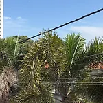 Edificio Cerca A La Playa
